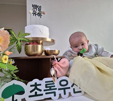 2024 초록우산 국내사업