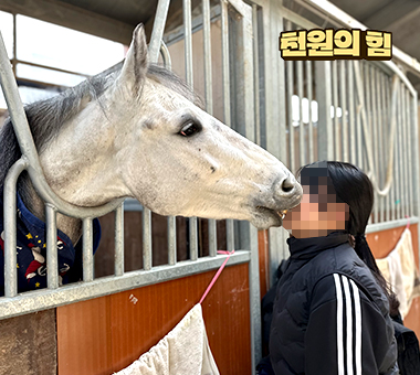 말과 함께 용기를 찾은 주은이