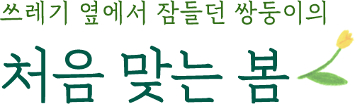 쓰레기 옆에서 잠들던 쌍둥이의 처음 맞는 봄