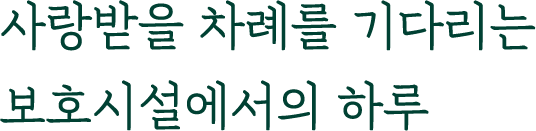 사랑받을 차례를 기다리는 보호시설에서의 하루