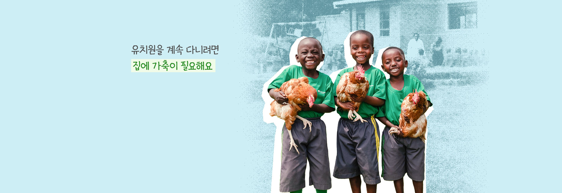 유치원을 계속 다니려면 집에 가축이 필요해요