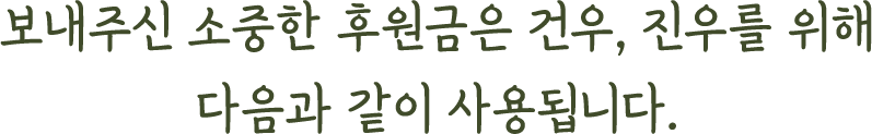 보내주신 소중한 후원금은 건우, 진우를 위해 다음과 같이 사용됩니다.