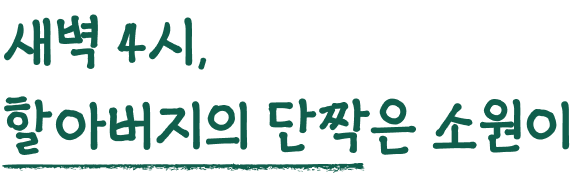 새벽 4시, 할아버지의 단짝은 소원이